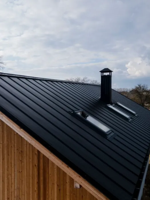 Adams Brothers Roof Repair Picture 1