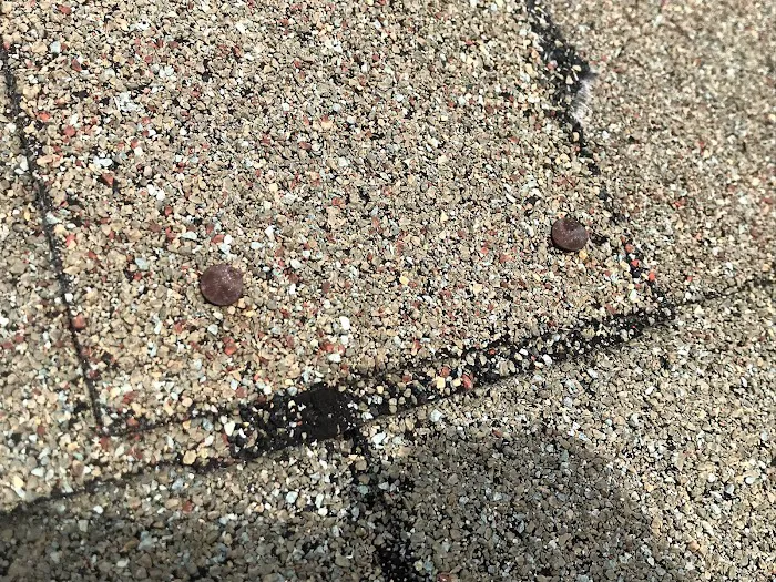 My Roof and Home Picture 9