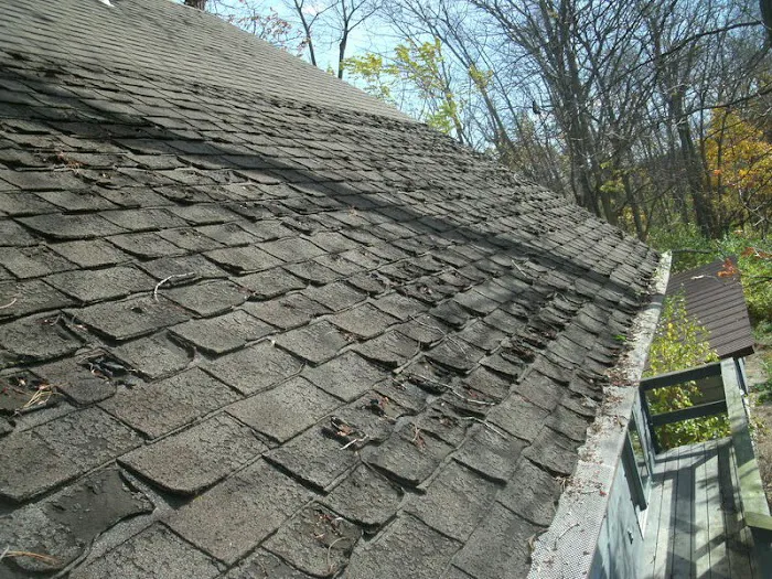 Gutters Plus Picture 8