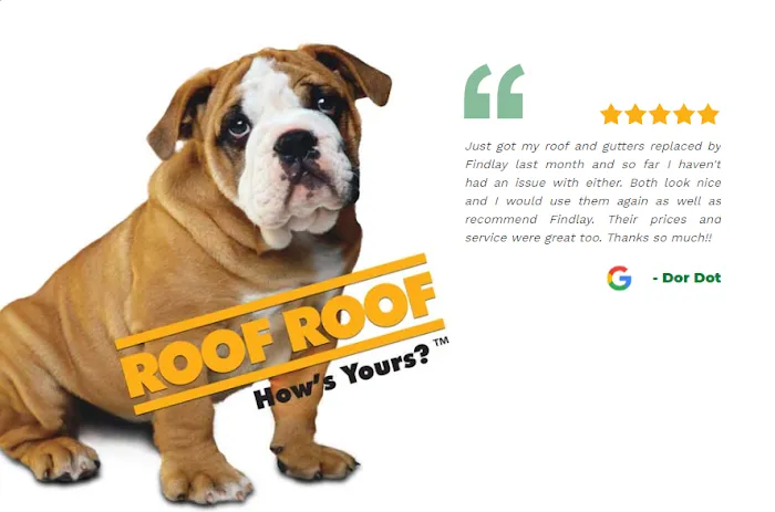 Findlay Roofing Picture 1