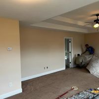 Master Painting & Renovation ico