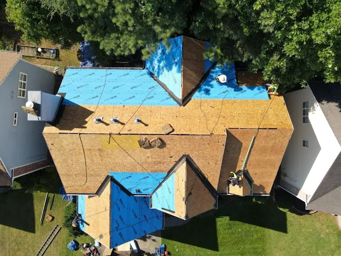Wow! What A Roof! Picture 1