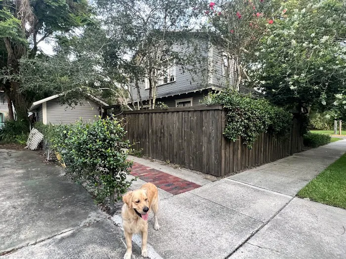 Orlando Roofing Solutions Picture 4