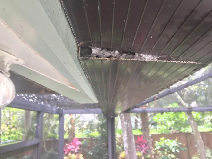 Winter Park Roofing Picture 6