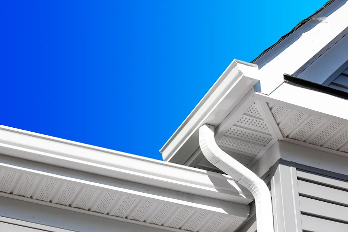 Ricky's Gutters Picture 3