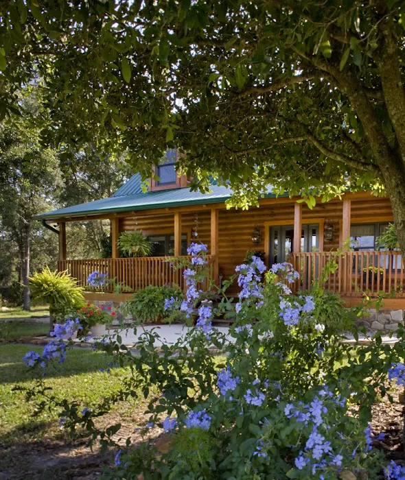 Florida Log Home Staining, Repair & Inspection Picture 8
