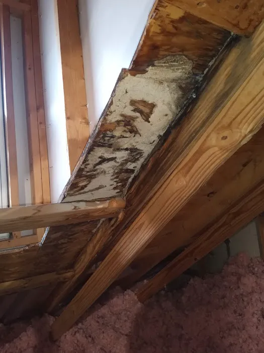 Storm Restoration LLC Picture 5