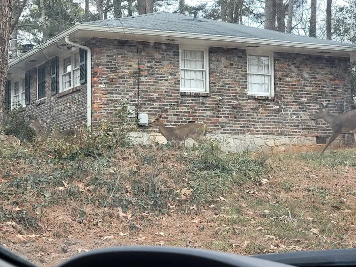 West Roofing And Home Repairs Llc Picture 1