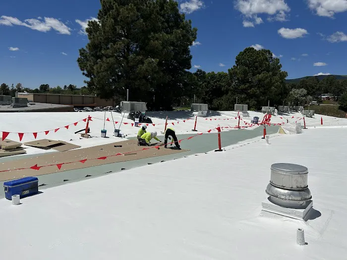 RoofCARE Picture 1
