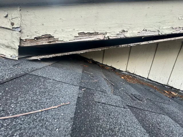 Results Roofing Picture 7