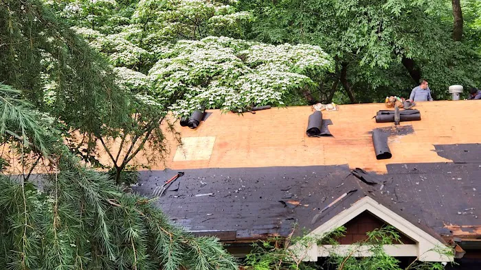 Rhino Roofing & Restoration Georgia Picture 5