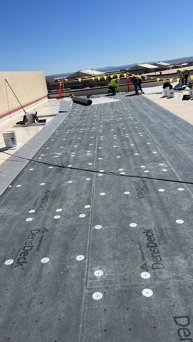 Basic Roofing Picture 8