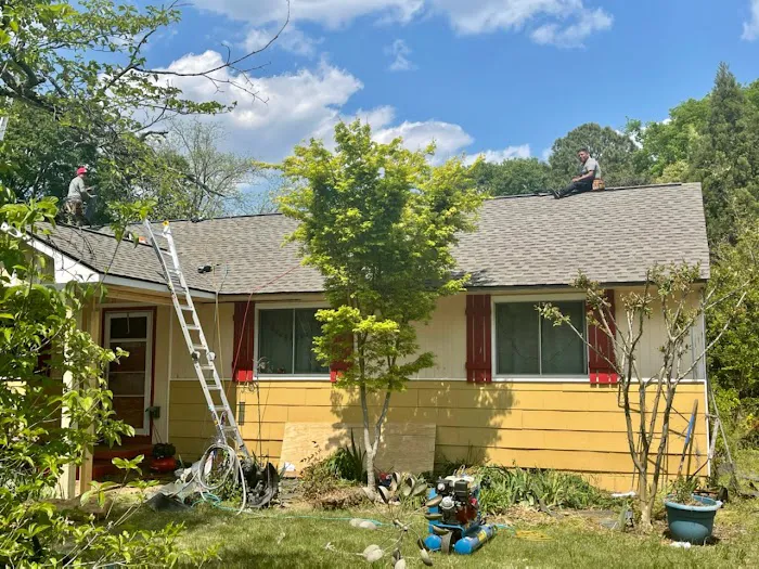 Roof Expert Picture 4