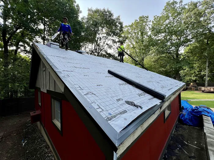 Roof Expert Picture 8