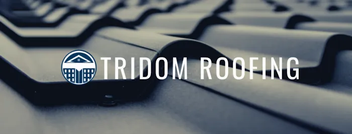 Tridom Roofing LLC Picture 2