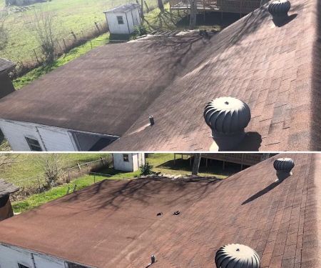 Roof Restore