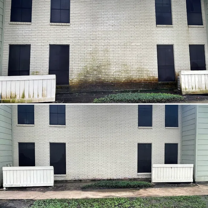 Roof Restore Picture 7