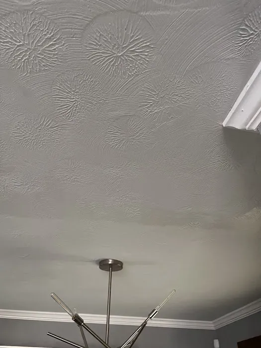 Apex Roofing Picture 1
