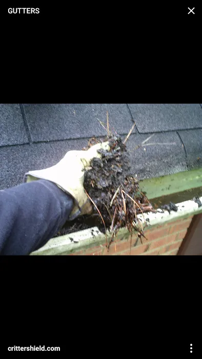 South Coast Seamless Gutters Picture 7