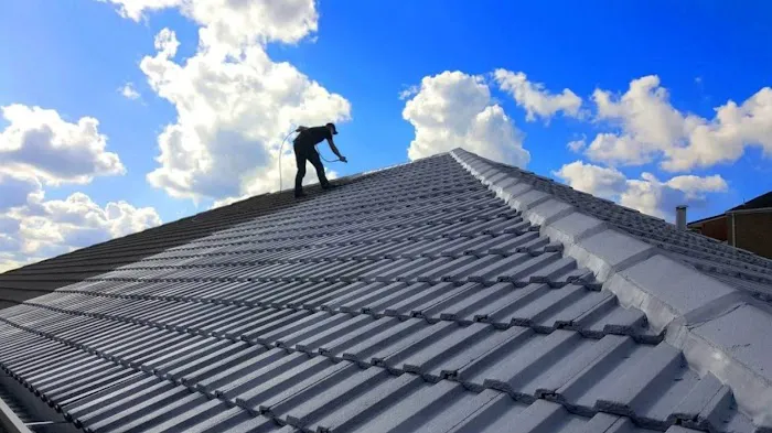 Pro Roofing Repair Picture 2
