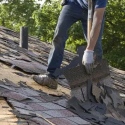Detailed Roofing and Construction Picture 4