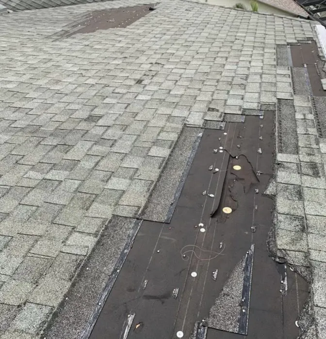 Live Oak Roofing Picture 2