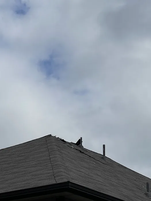 Live Oak Roofing Picture 3