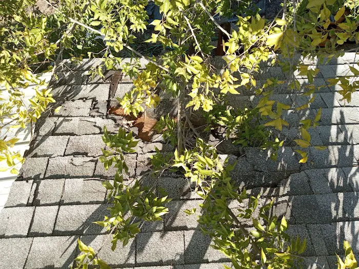 Tinsley Roofing LLC Picture 2