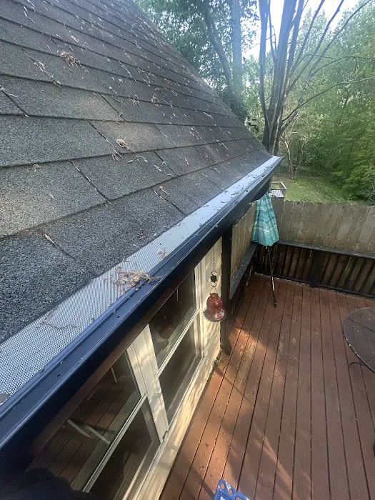 The Brothers That Just Do Gutters Picture 3