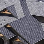 NXT LVL Roofing & Construction