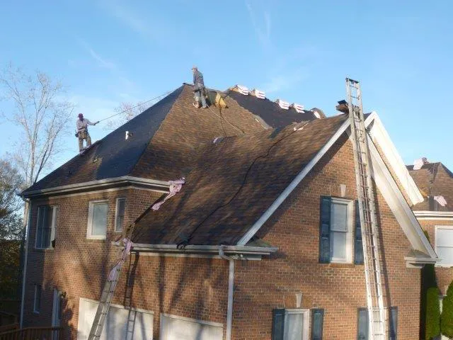 The Roof Clinic Picture 7