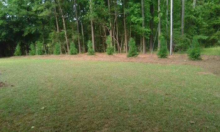 Greer Home Solutions - General Contractor Picture 3