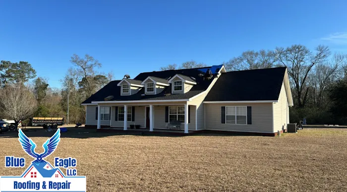 Blue Eagle Roofing & Repair Llc Picture 10