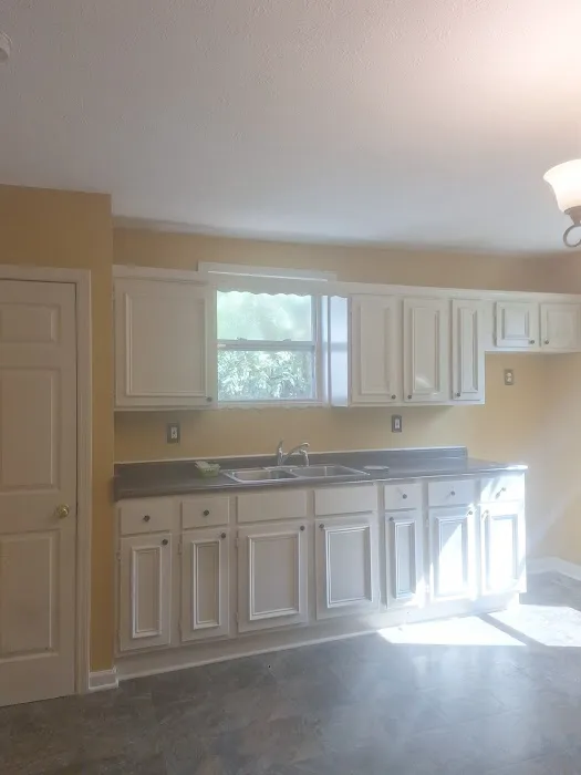 BERDUO MARTINEZ PAINTING LLC Picture 4