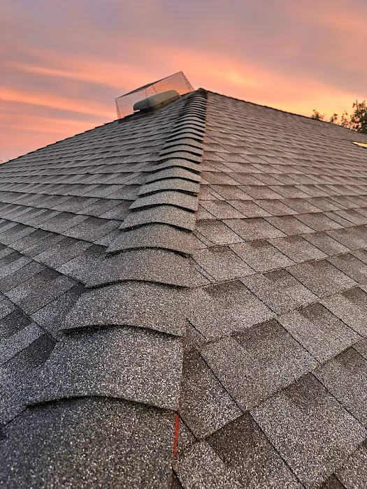 Primary Roofing Picture 2