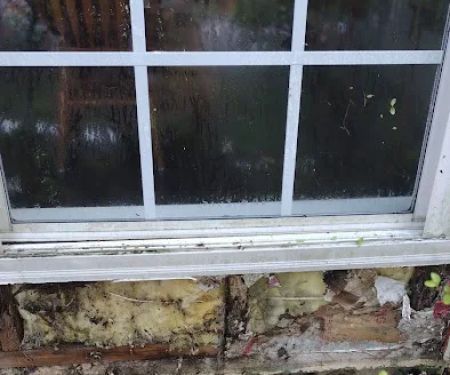 HOME ROT-AWAY