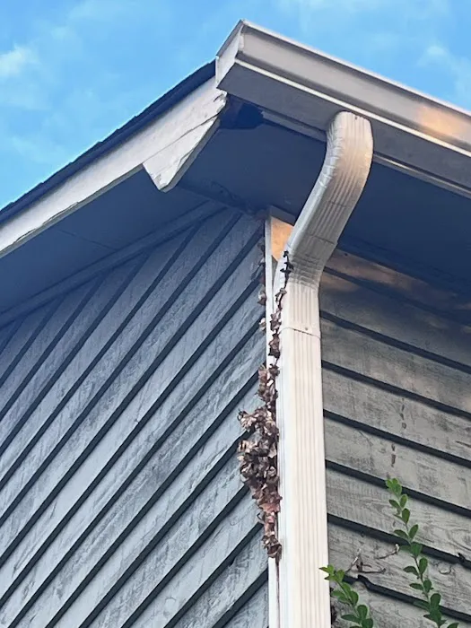 HOME ROT-AWAY Picture 5