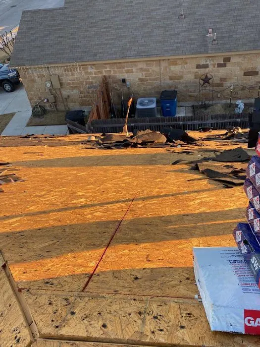 Roofer Chicks Picture 8