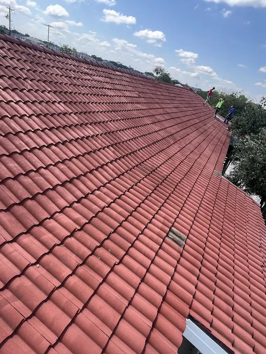 Roofer Chicks Picture 6