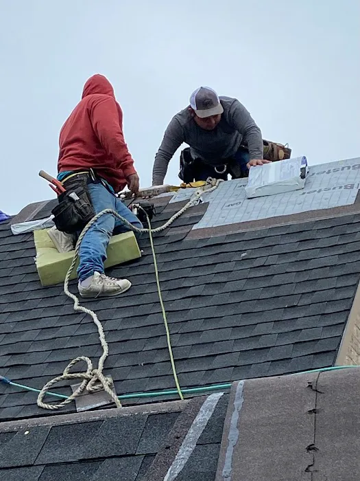 Roofer Chicks Picture 9
