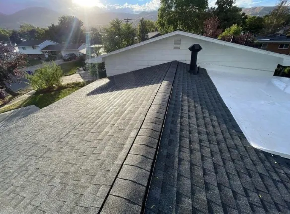 Fair Oaks Ranch Roofing Experts Picture 6