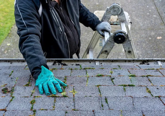 Resurrection Roofing Picture 1