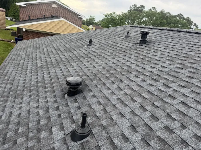 Roofsters Picture 10
