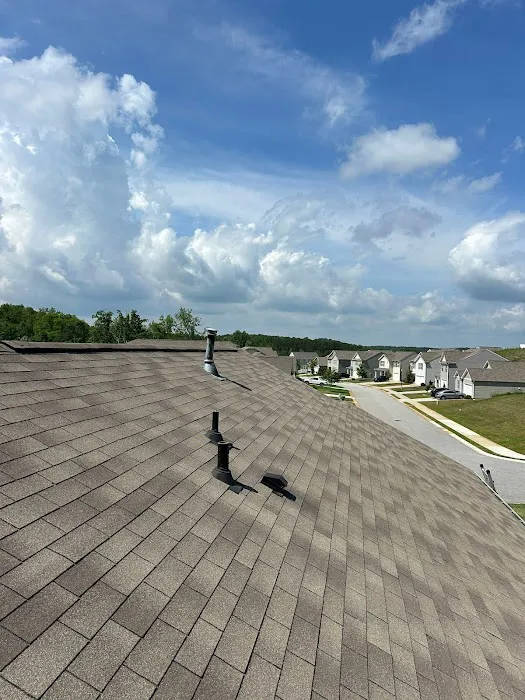 Roofsters Picture 6
