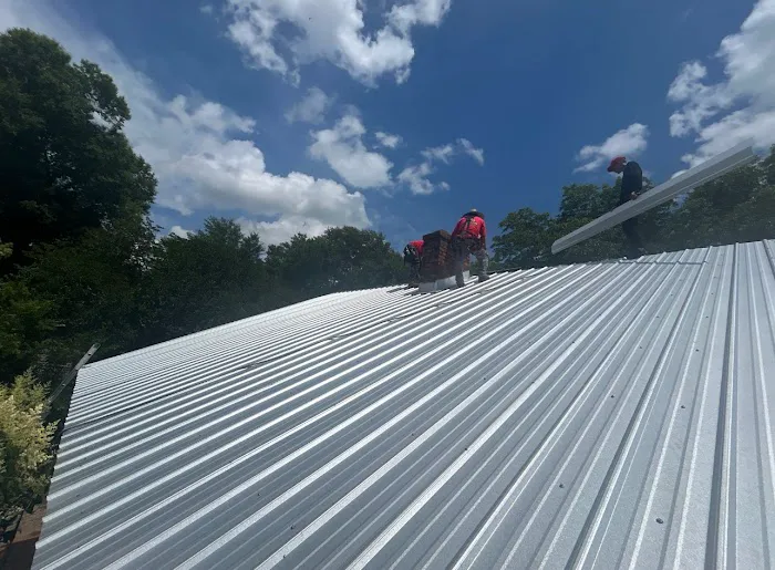Roofsters Picture 7