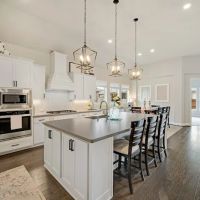 North Georgia Remodeling and Renovation ico