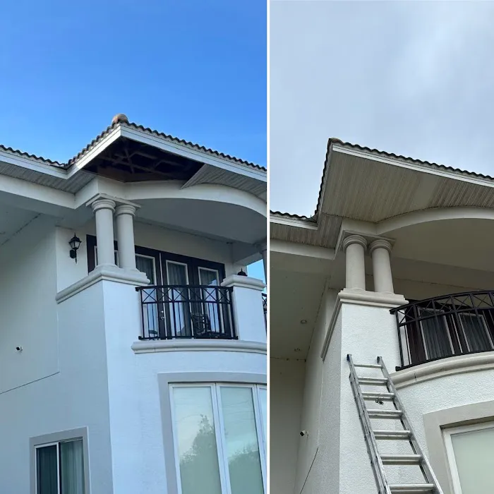 Invictus 12 Soffit, Fascia, Gutters & Exterior painting. Picture 5