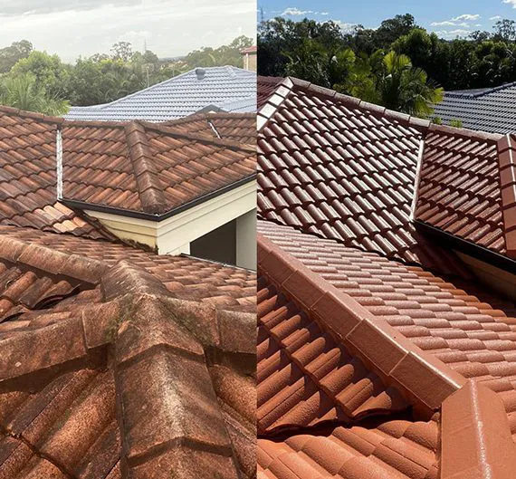 Save A Roof Picture 6