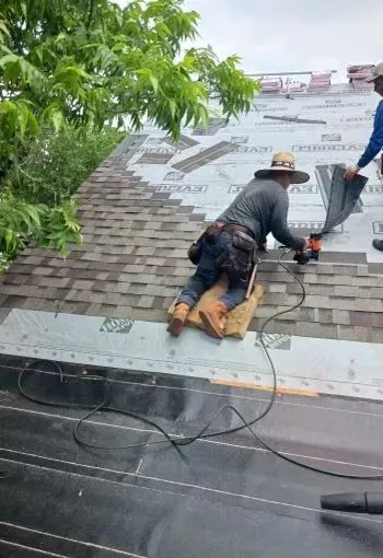 Roofs & Repairs Picture 6