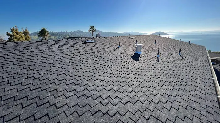 Hail Ding Kings | 3 Kings Roofing Solar Pdr Picture 8